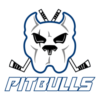 https://bristolpitbulls.co.uk/wp-content/uploads/2024/06/Bristol-Pitbulls-320x320.png