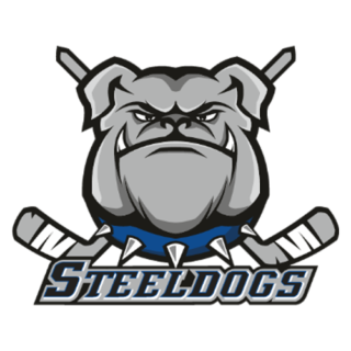 https://bristolpitbulls.co.uk/wp-content/uploads/2024/07/Sheffield-Steeldogs-320x320.png