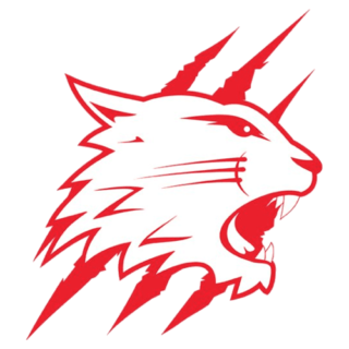 https://bristolpitbulls.co.uk/wp-content/uploads/2024/07/Swindon-Wildcats-320x320.png